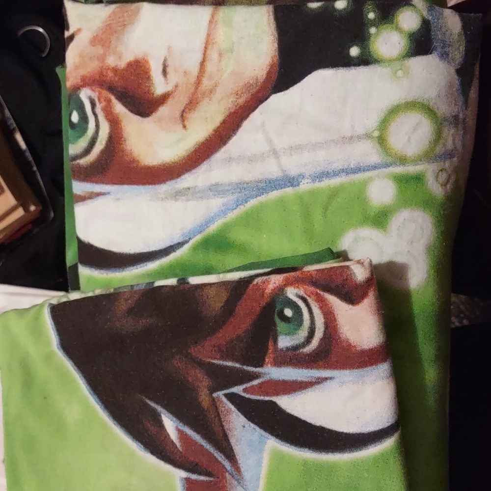 Ben 10 Pillow Case & (Comforter Cover?)